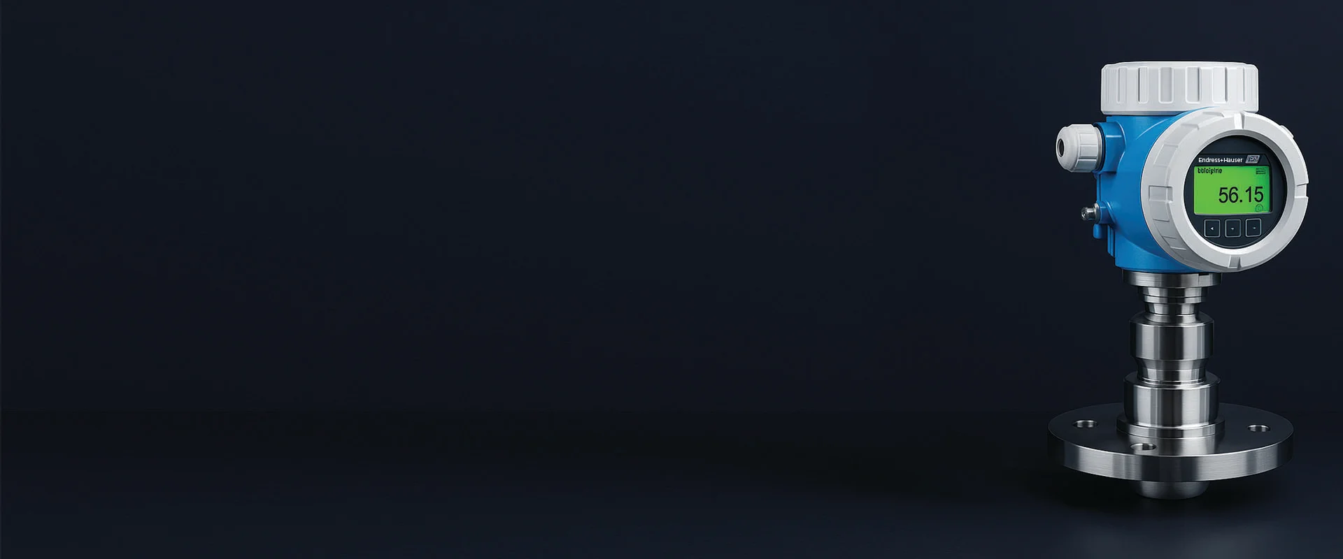 Why ParamHans is the top Best Vibronic point level detection Traders in India - Endress Hauser