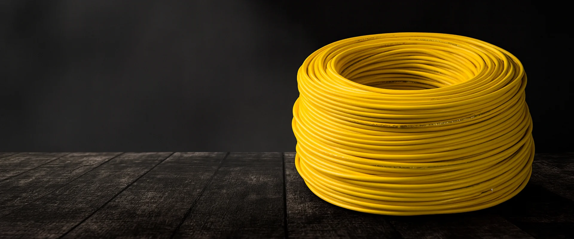 Why Paramhans is the top Lapp Partner